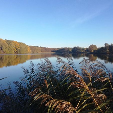 Warthe - Mitten In Der Natur Zewnętrze zdjęcie
